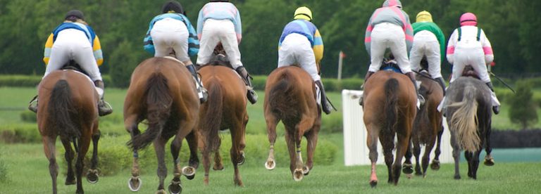 Grand National Entries