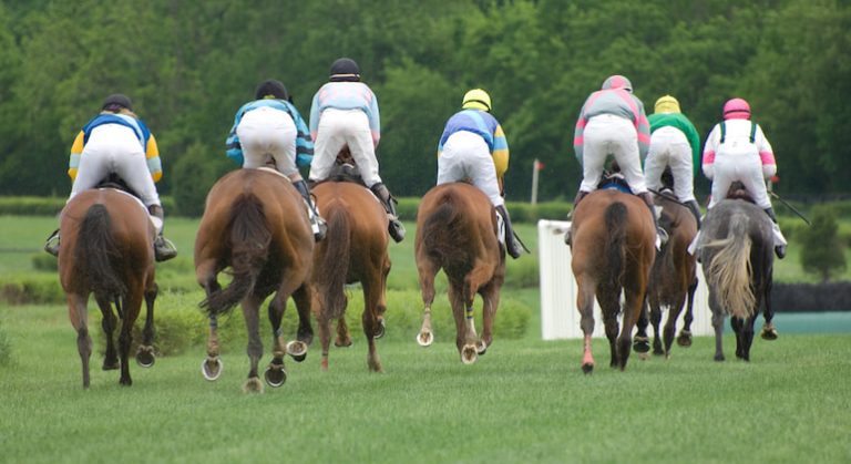 Grand National Entries