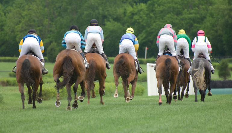 Grand National Entries