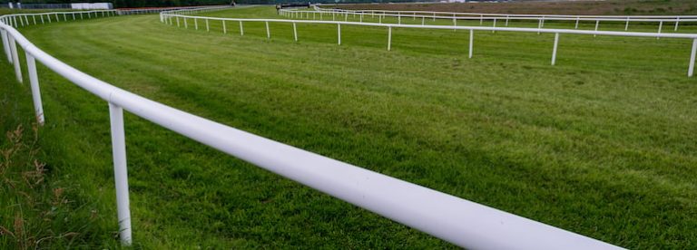 Cheltenham Day 1 NRNB