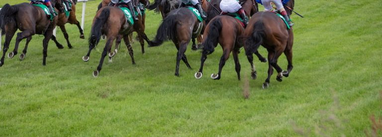 Towton Novices Chase Preview