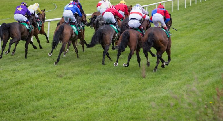 Towton Novices Chase Preview