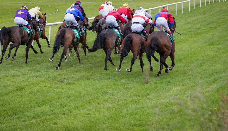 Towton Novices Chase Preview