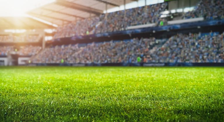 Championship February 15th Tips