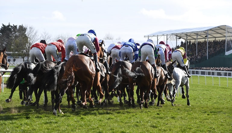 Cheltenham Bumper Entries 2025