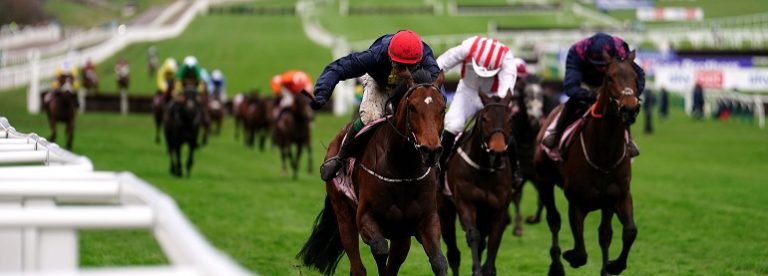 Cheltenham Betting Tips