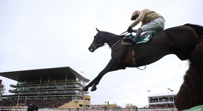 Cheltenham Day 1 Lucky 15