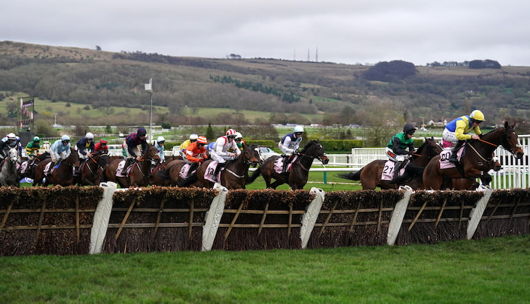 Cheltenham Festival Predictions