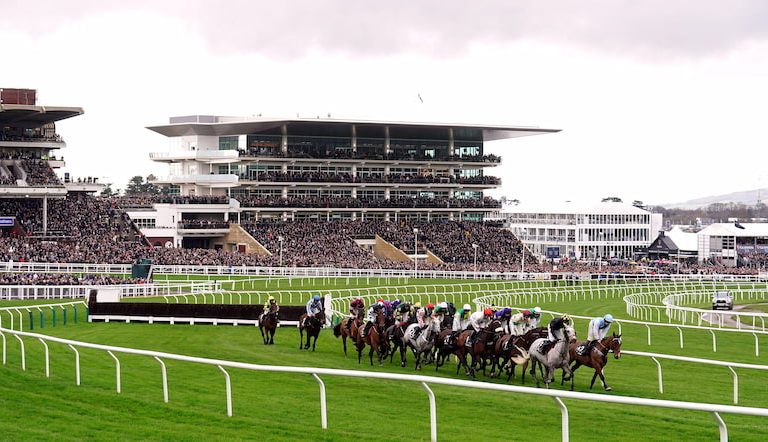 Cheltenham Gold Cup Tips & Betting Preview (2025)