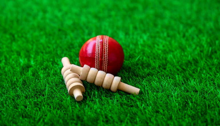 Indian Premier League 2025