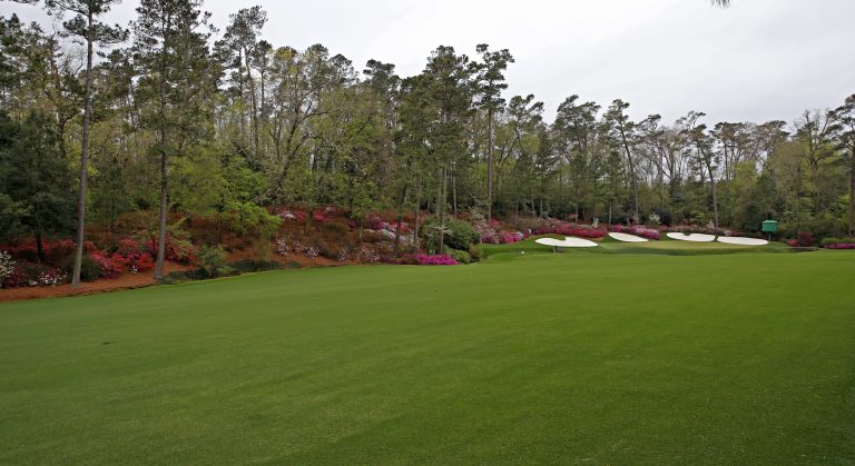 WHN promotion banner image