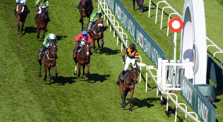 WHN promotion banner image