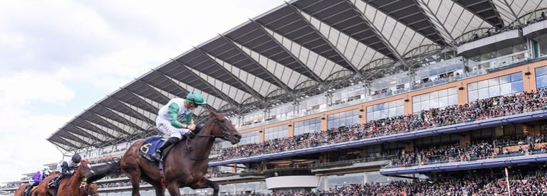 Royal Ascot Horse