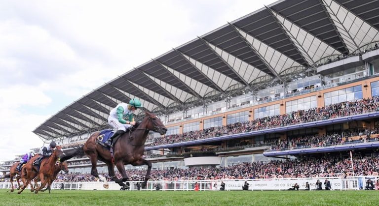 Royal Ascot Horse