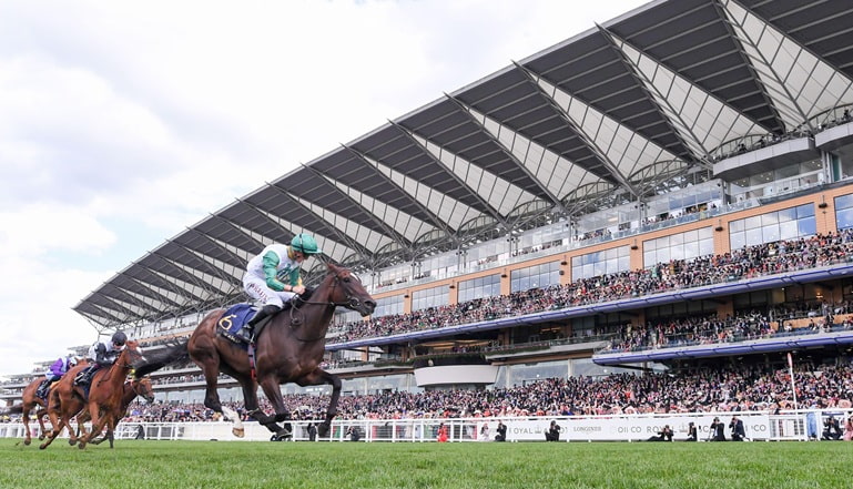 Royal Ascot Horse