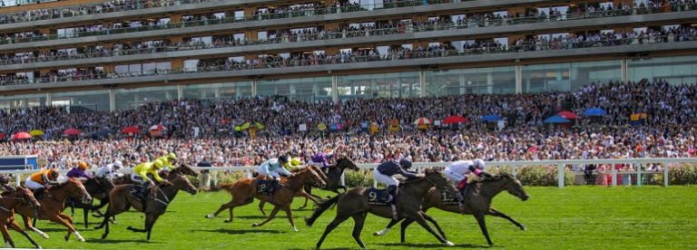 Queens Hat Tips and Odds