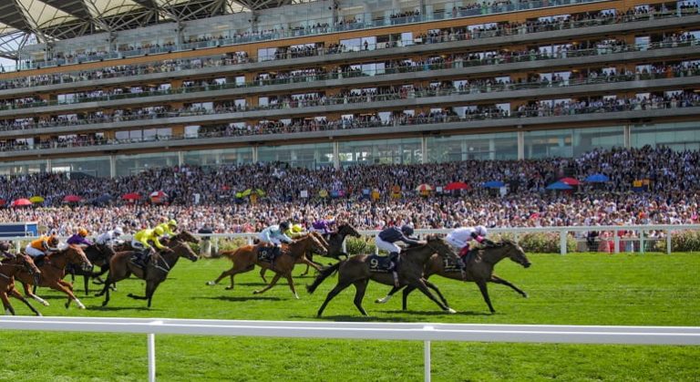 Queens Hat Tips and Odds