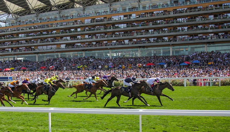 Queens Hat Tips and Odds