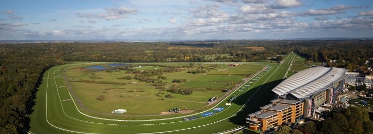 Copper Horse Stakes