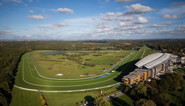 Copper Horse Stakes