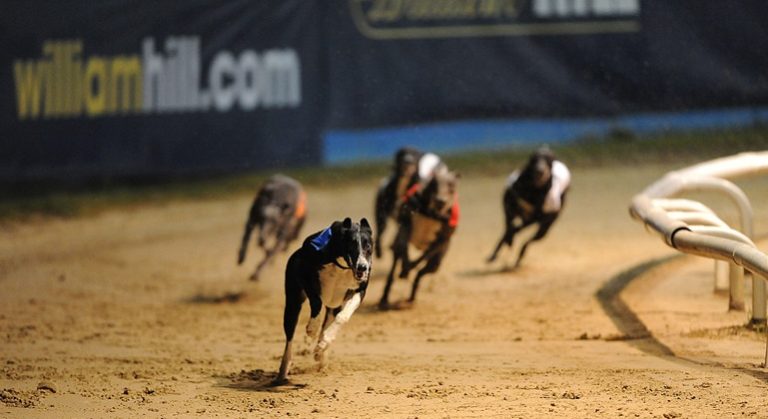 Greyhound Racing UK