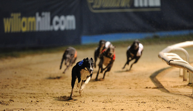 Greyhound Racing UK