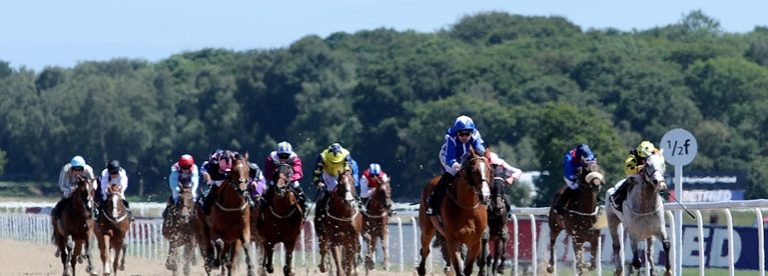 Northumberland Plate Prediction 2025