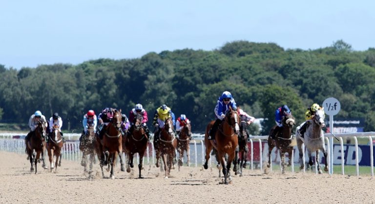 Northumberland Plate Prediction 2025