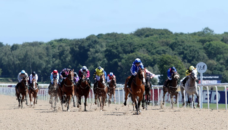 Northumberland Plate Prediction 2025