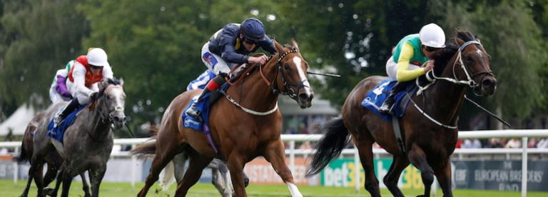 Newmarket Racecourse Horse Racing