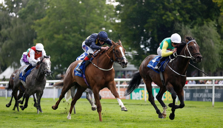 Newmarket Racecourse Horse Racing