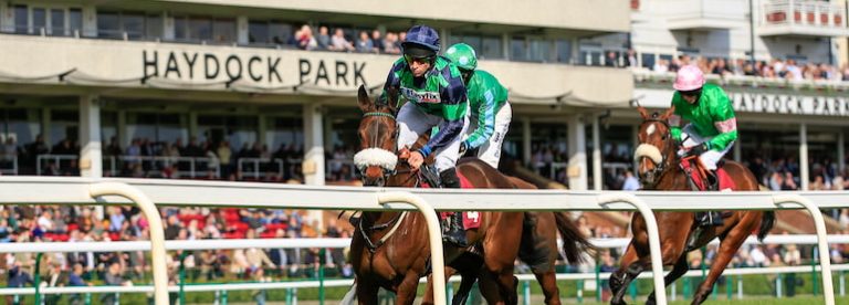 Haydock Horse Racing