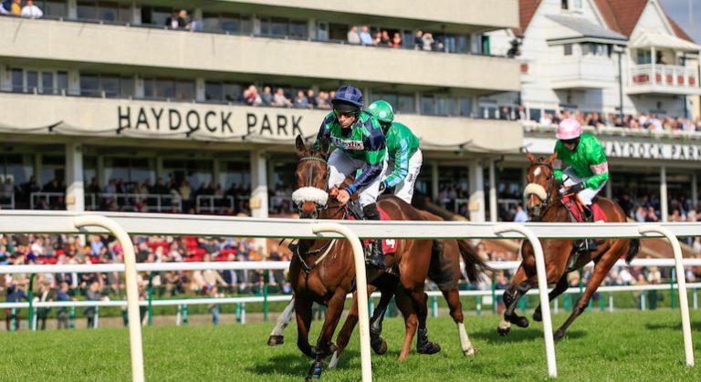Haydock Horse Racing