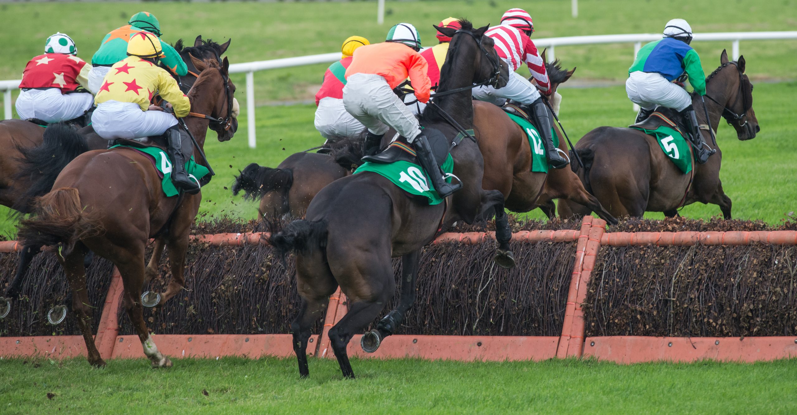 Chepstow Horse Racing