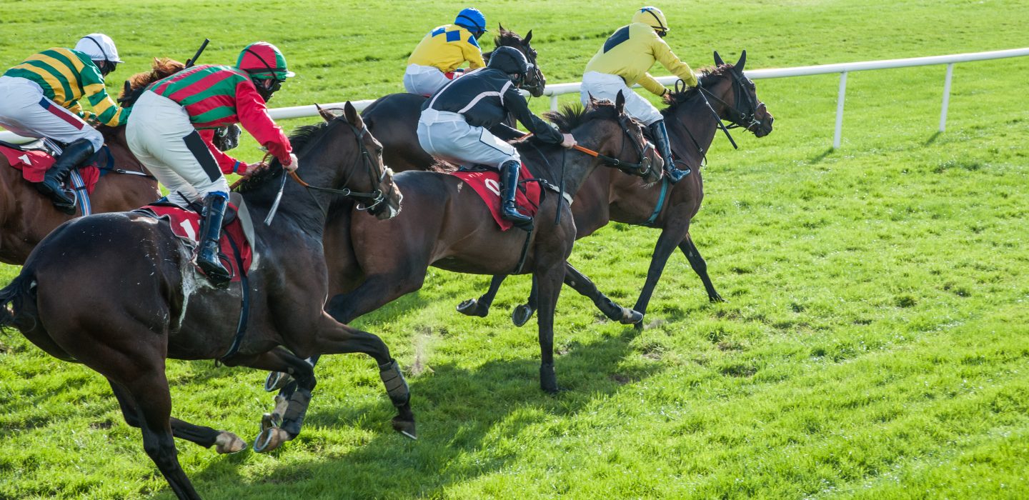 Horses and Jockeys Chepstow
