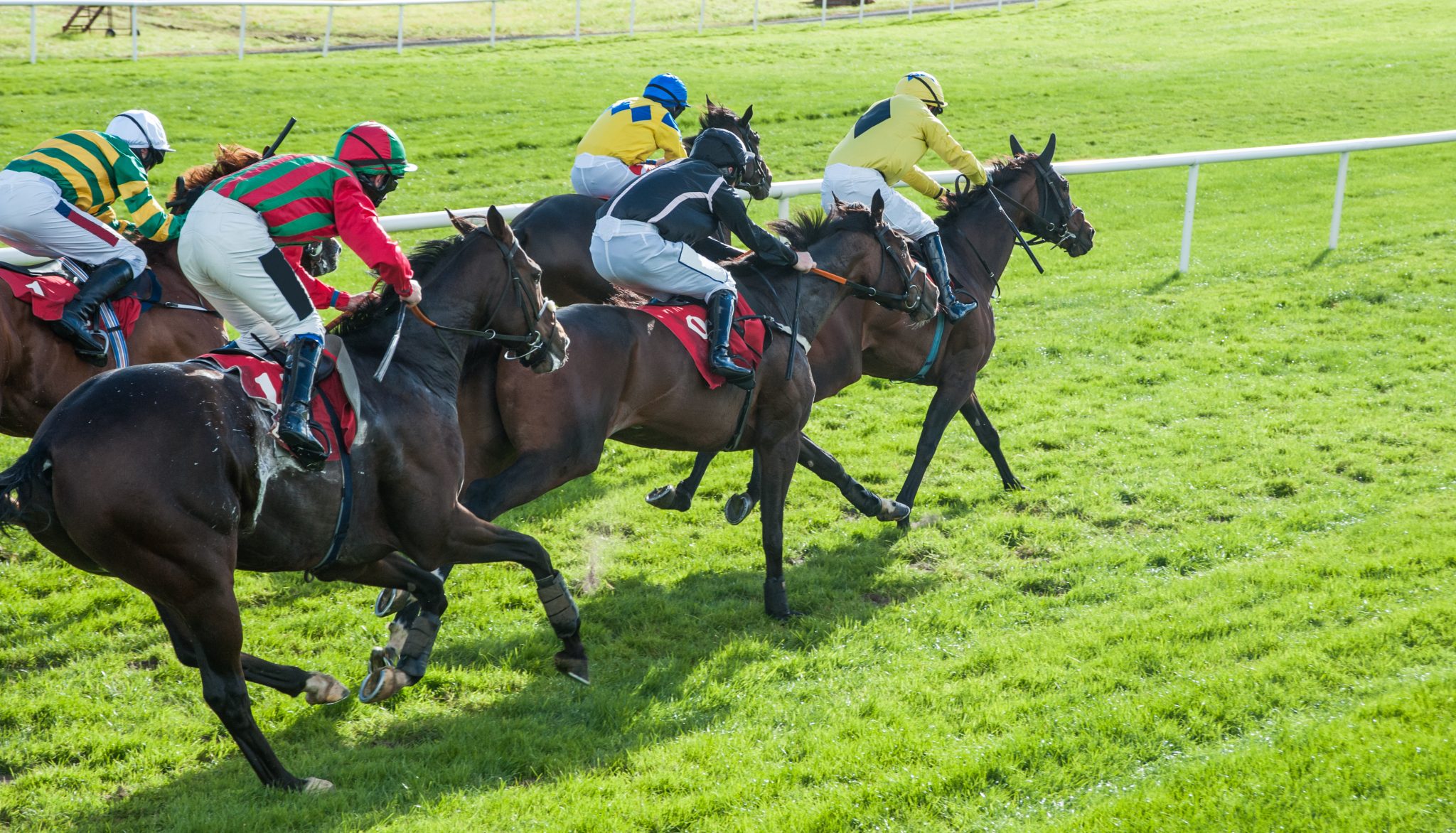 Boxng Day Races Boxing Day Horse Racing Tips For Every Race (2025)