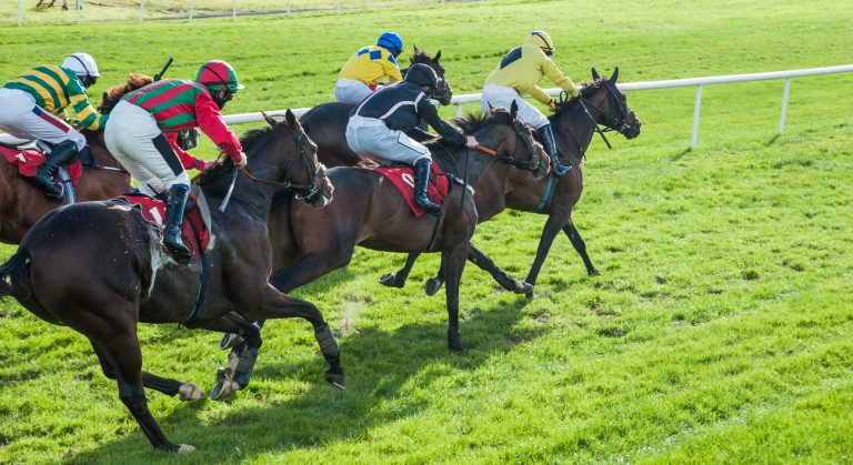 Horses and Jockeys Chepstow