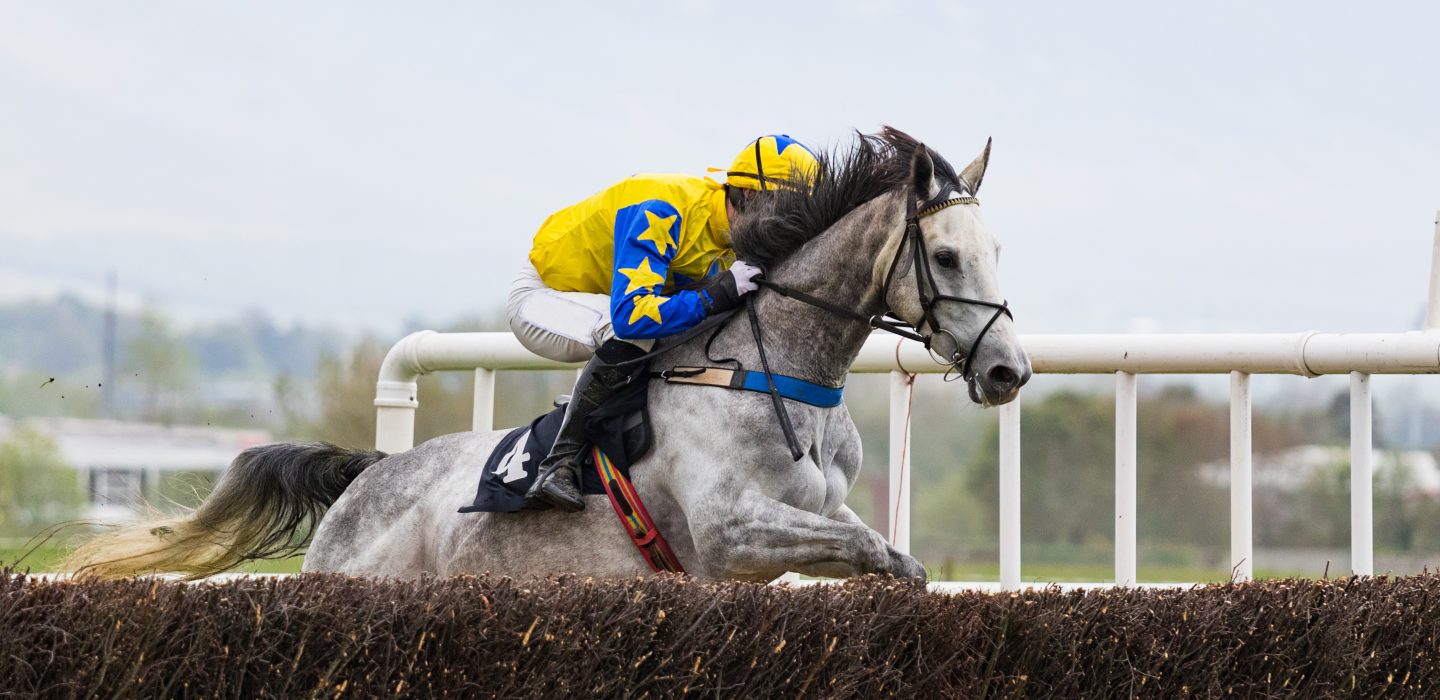 Race horse and jockey jumping a hurdle on the race track