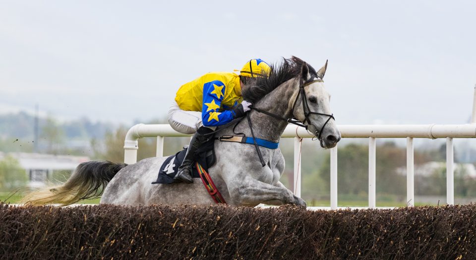 Race horse and jockey jumping a hurdle on the race track