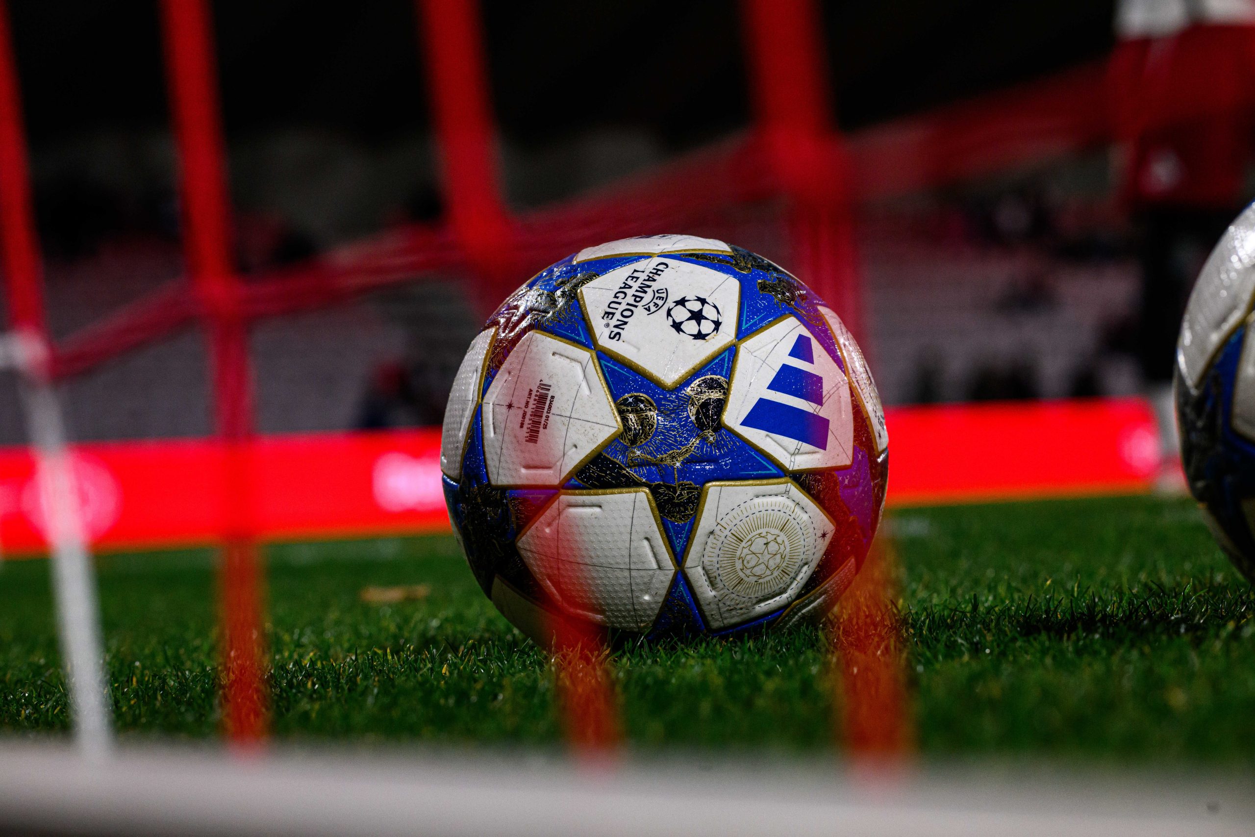 WHN promotion banner image