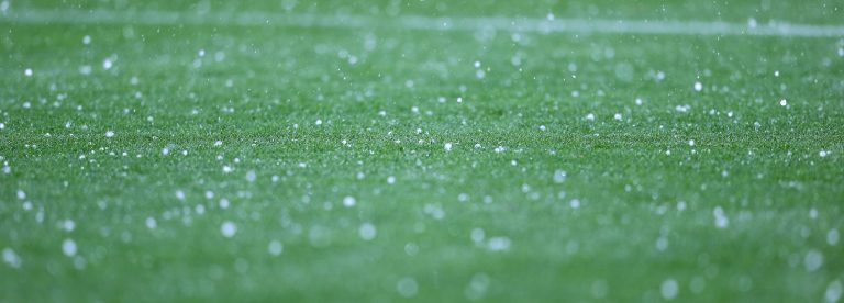 WHN promotion banner image