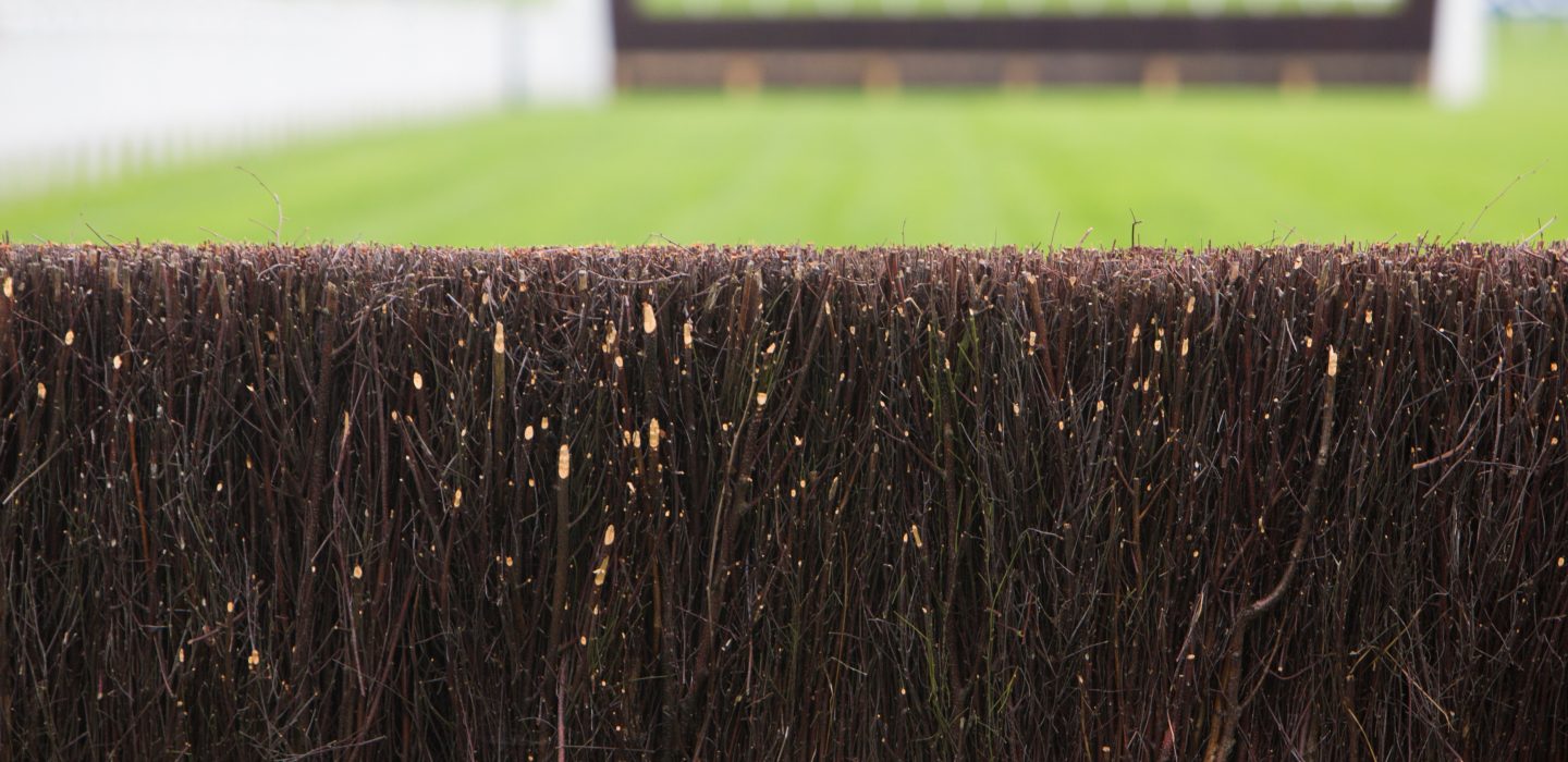 Fence On Horse Racing Track