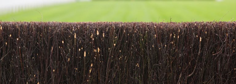 Fence On Horse Racing Track