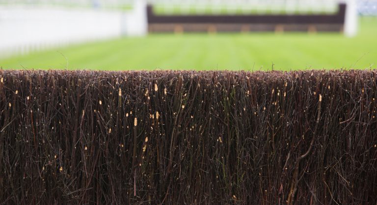 Fence On Horse Racing Track