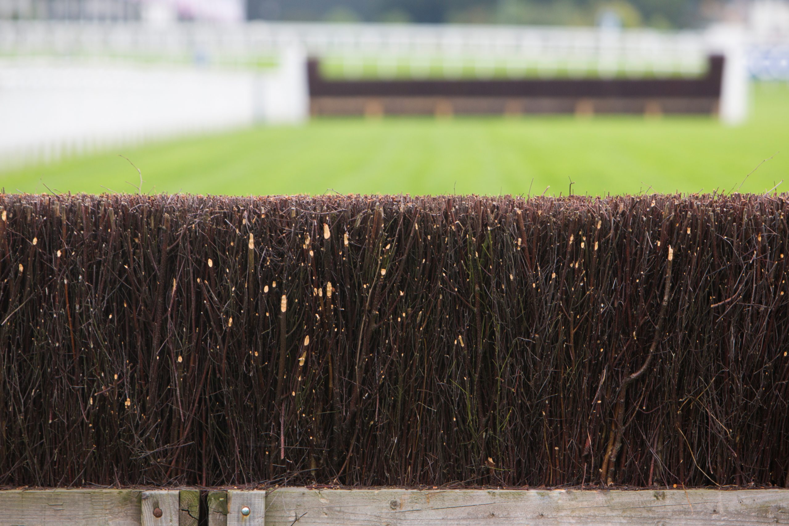 Fence On Horse Racing Track