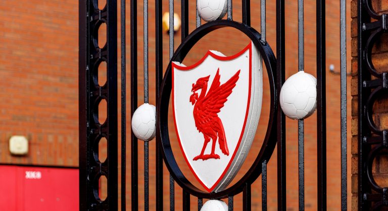 WHN promotion banner image