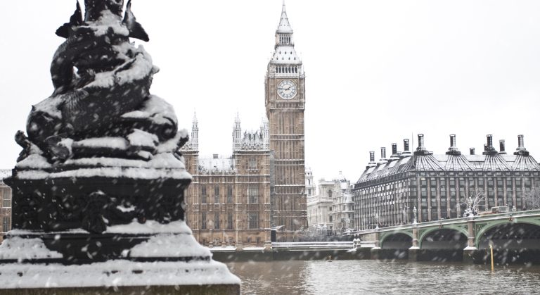 WHN promotion banner image