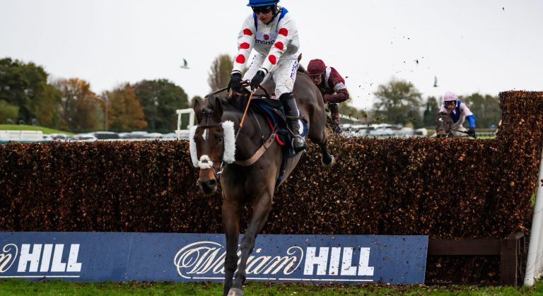 WHN promotion banner image