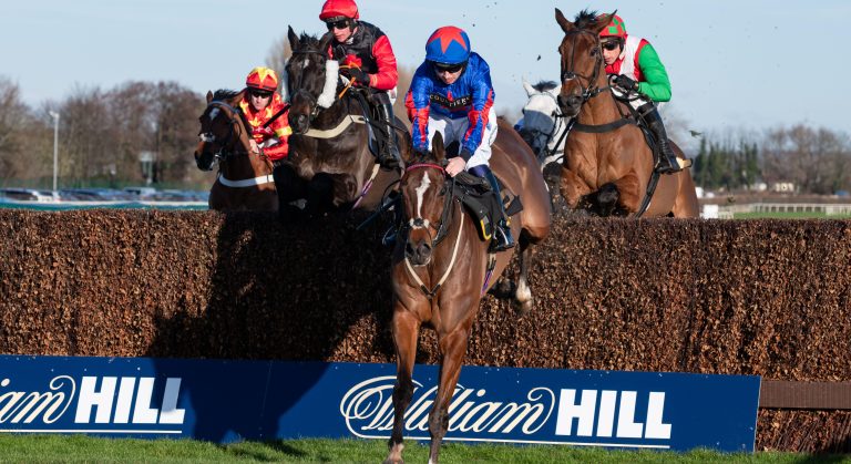 WHN promotion banner image