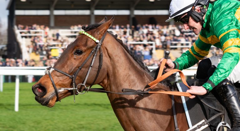 WHN promotion banner image